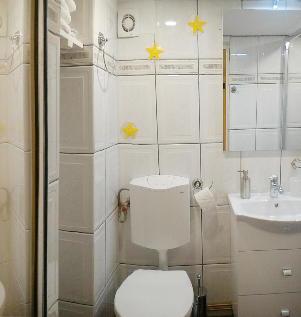 Republicii Rustic Apartament In Brasov City Center Dış mekan fotoğraf